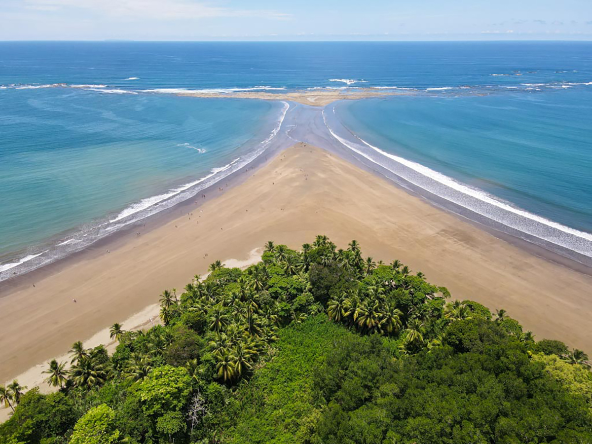 Uvita