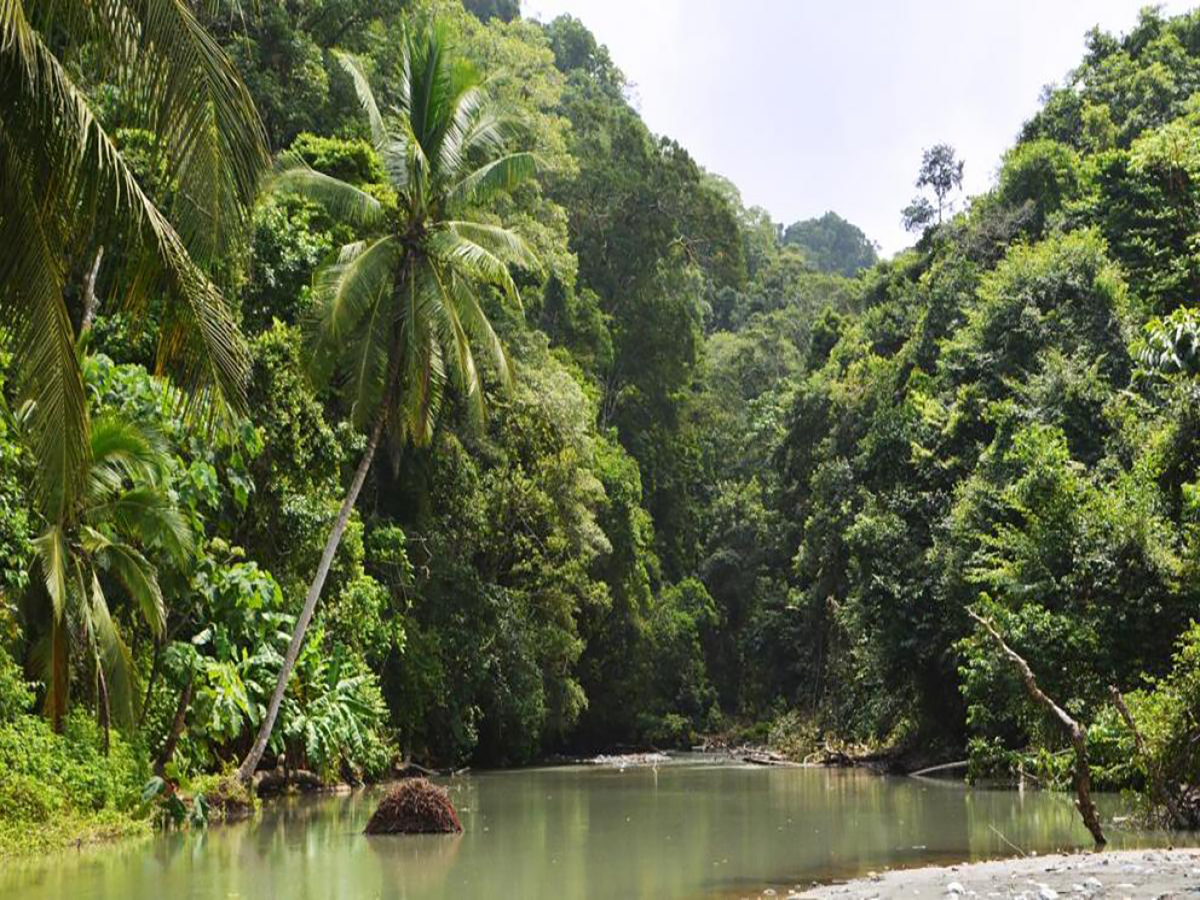 Parque Nacional Corcovado