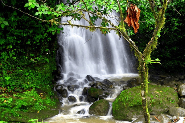 Waterfalls