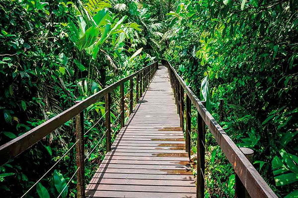 Visit Cahuita National Park