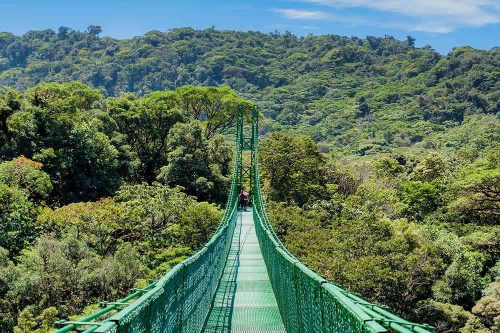 Hanging Bridges
