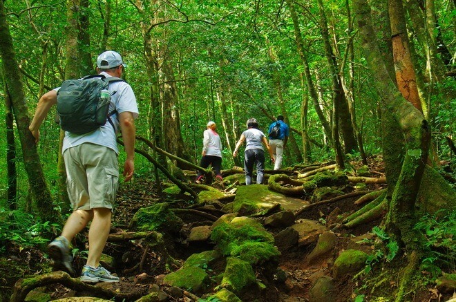 Hiking