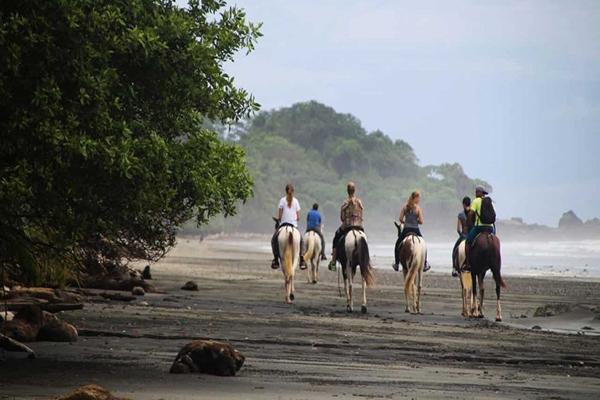 Horseback Riding